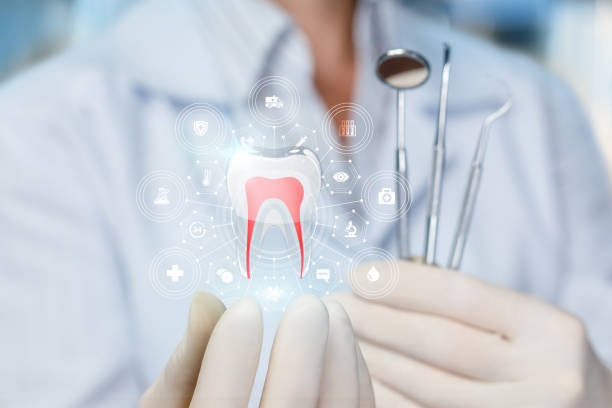Trusted Heber, CA  Holistic Dental Services Experts
